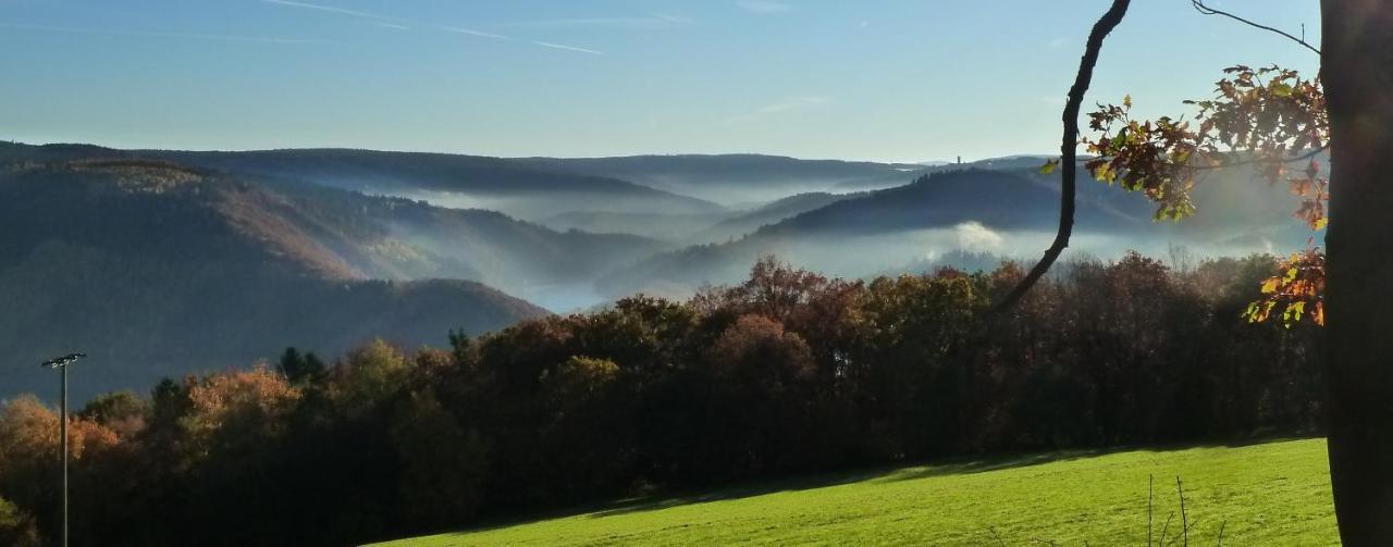 Fewo Eifel Eichen ニデッケン エクステリア 写真